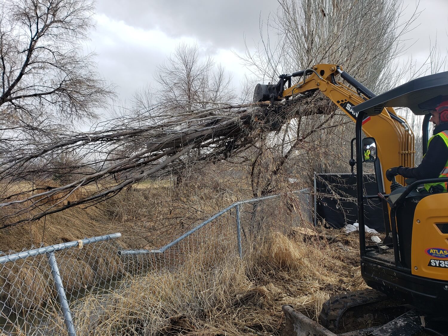Timber Ridge Tree Service Tree Debris Removal Salt Lake City, Utah