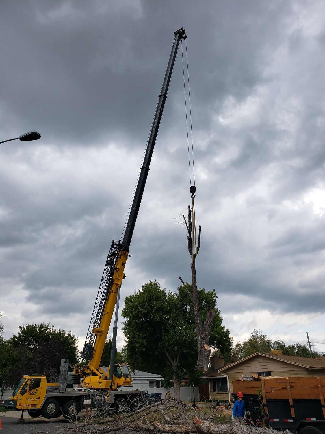 Timber Ridge Tree Service Tree Removal with Crane