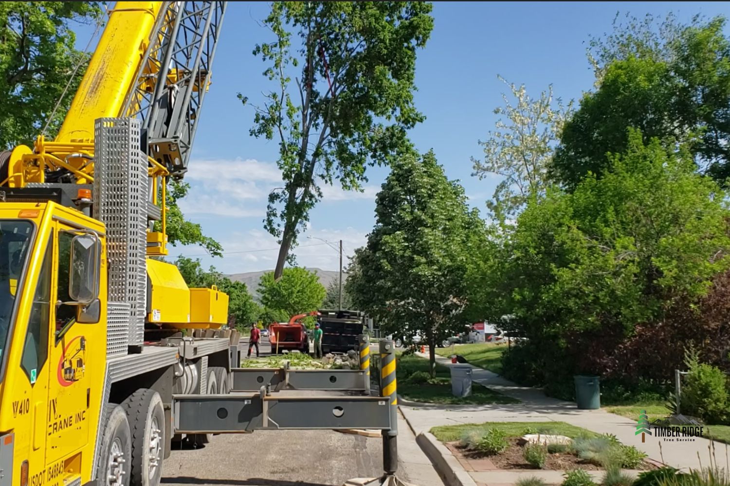 Crane Assisted Tree Removal Services in Tooele County, Utah