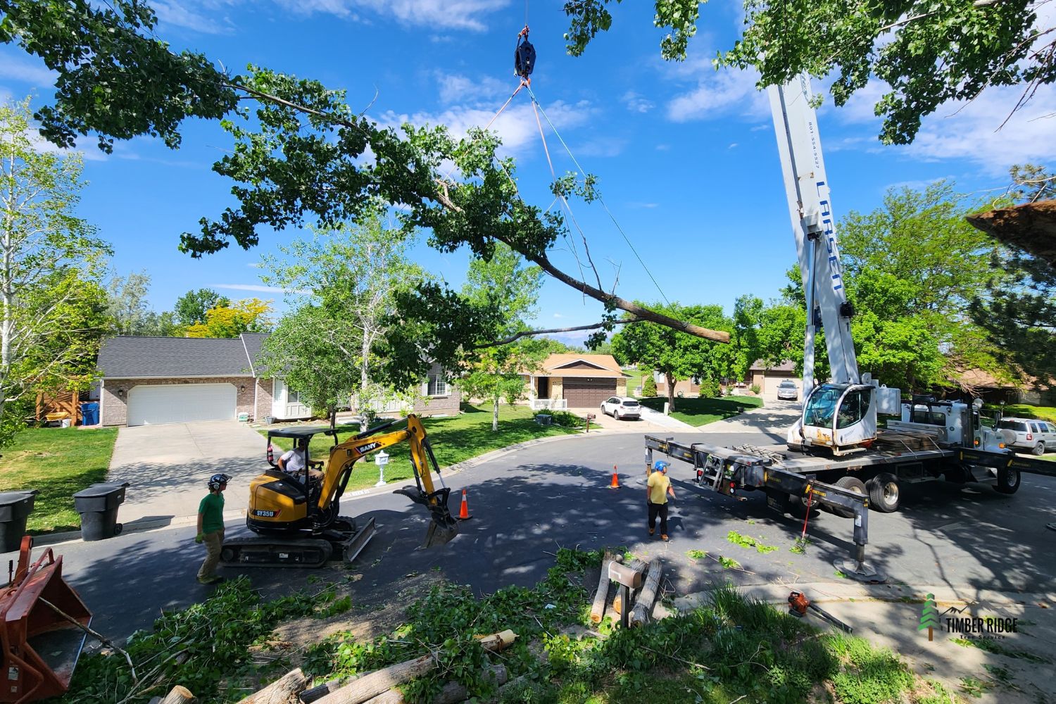 Crane Assisted Tree Removal Services