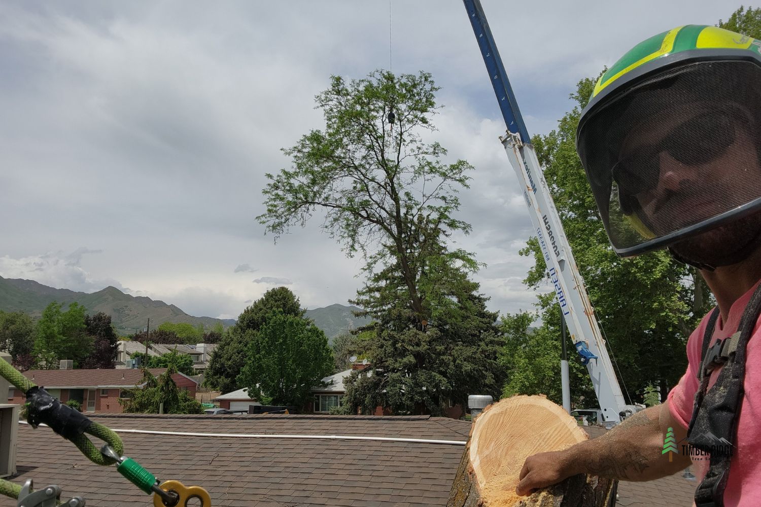 Large Tree Removal by Crane form Timber Ridge Tree Services