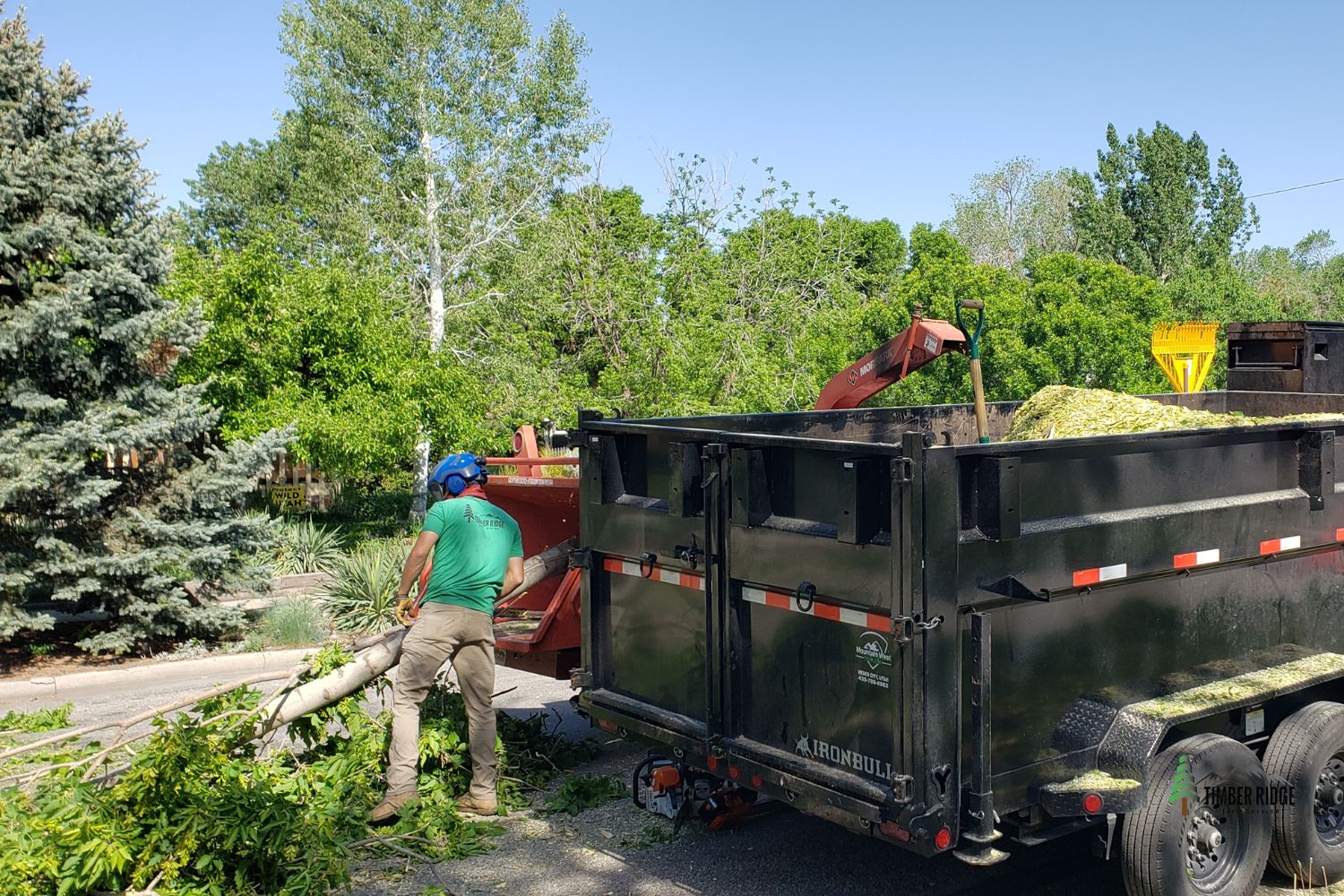 Tree Trimming & Removal Services in Tooele County, Utah